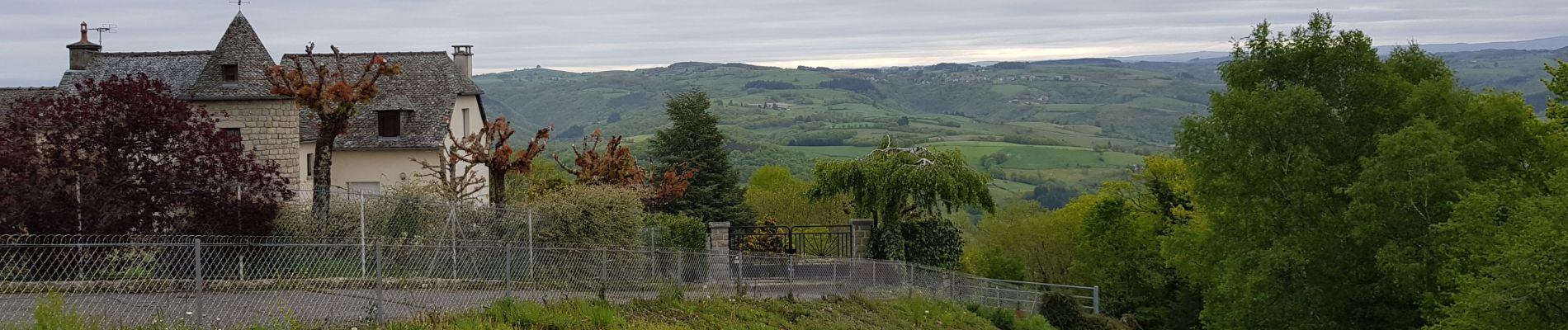 Tocht Stappen Golinhac - golinhac conques  - Photo