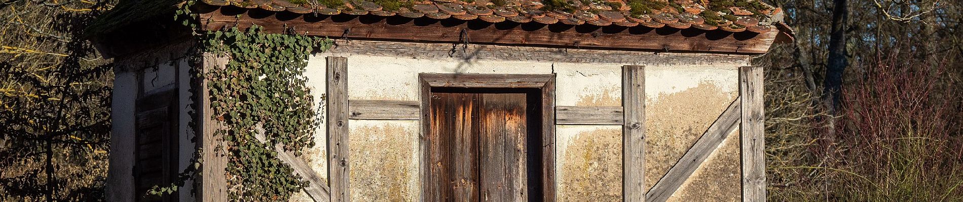 Tocht Te voet Scheinfeld - Scheinfeld Rundweg S1 - Photo