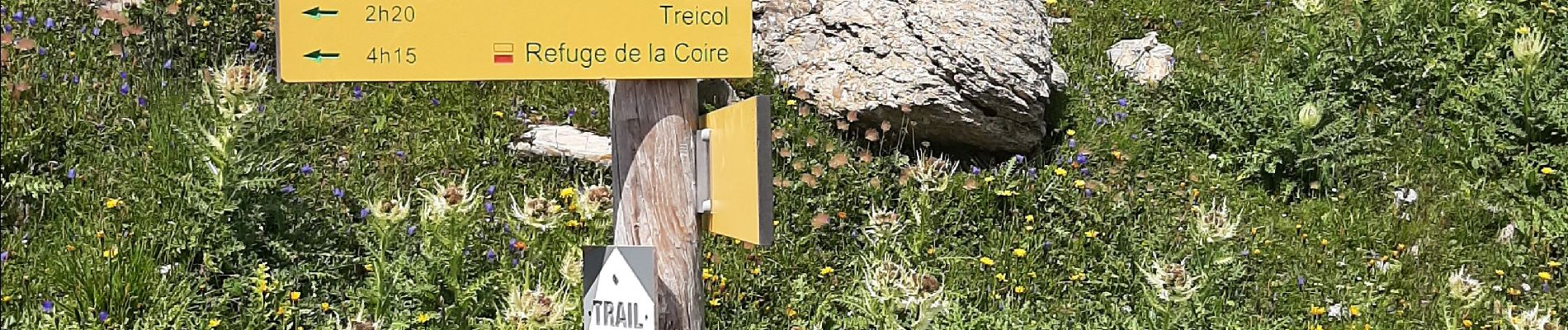 Randonnée Marche Beaufort - BEAUFORTIN: DE TREICOL AU REFUGE DE PRESSET - Photo