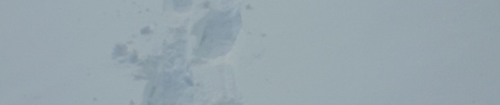 Excursión Raquetas de nieve Modane - Loutraz Amodon - Photo