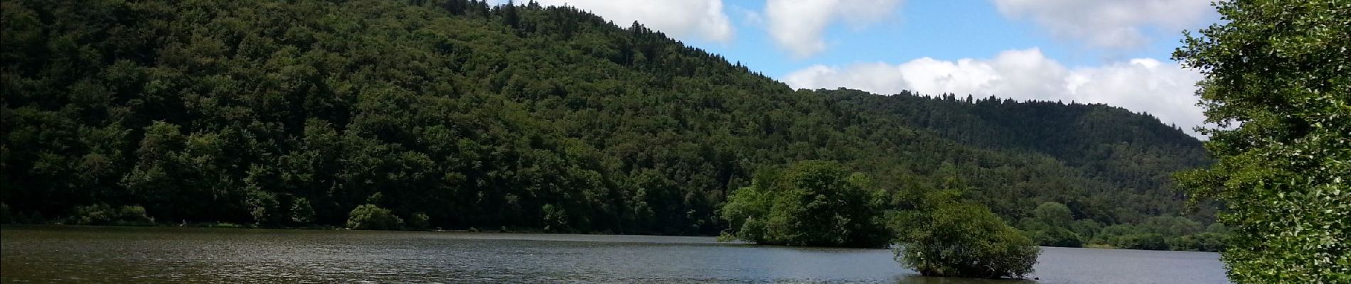 Tour Wandern Murol - L ac Chambon Château Murol - Photo