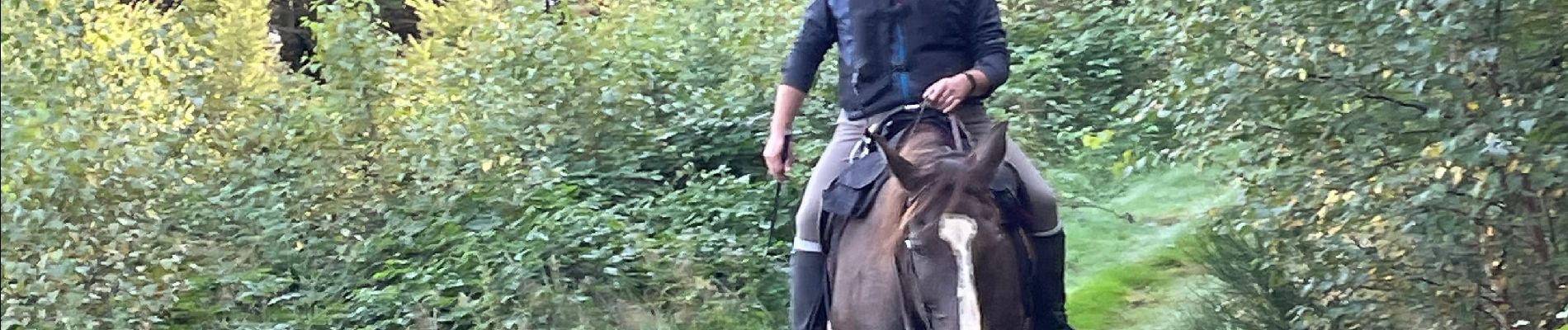 Trail Horseback riding Bastogne - Lutrebois - Photo