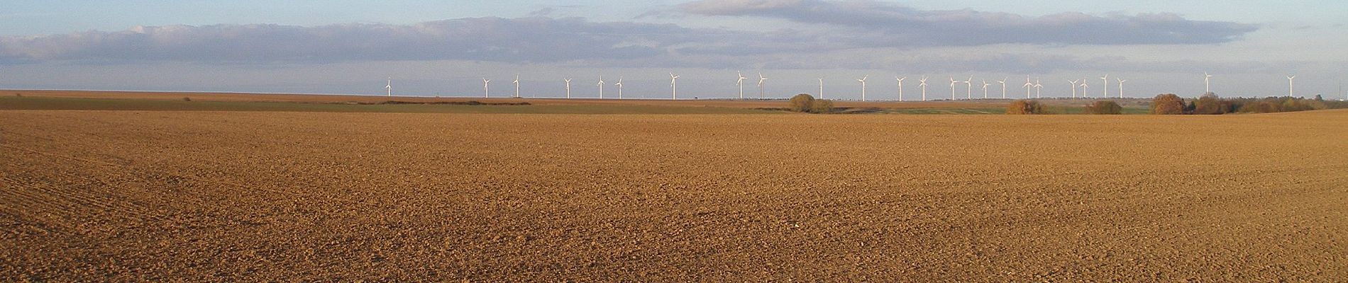 Tour Zu Fuß Querfurt - Rundweg Hermannseck - Photo