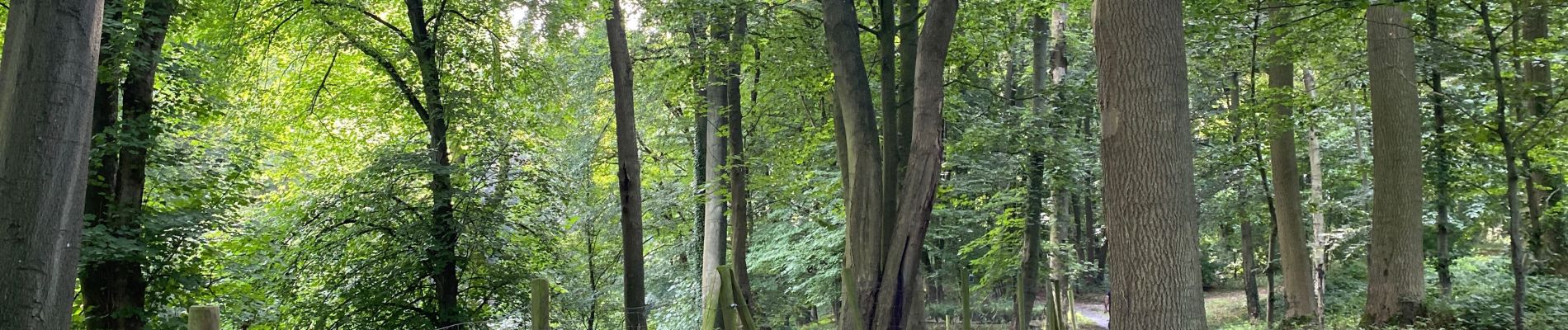 Randonnée Marche Seneffe - ADEPS - Arquennes - Photo