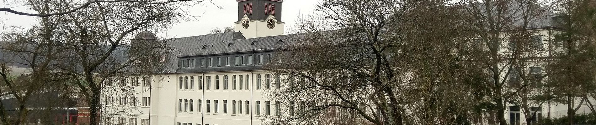 Excursión A pie Rüdesheim am Rhein - Rundwanderweg Tanne - Photo