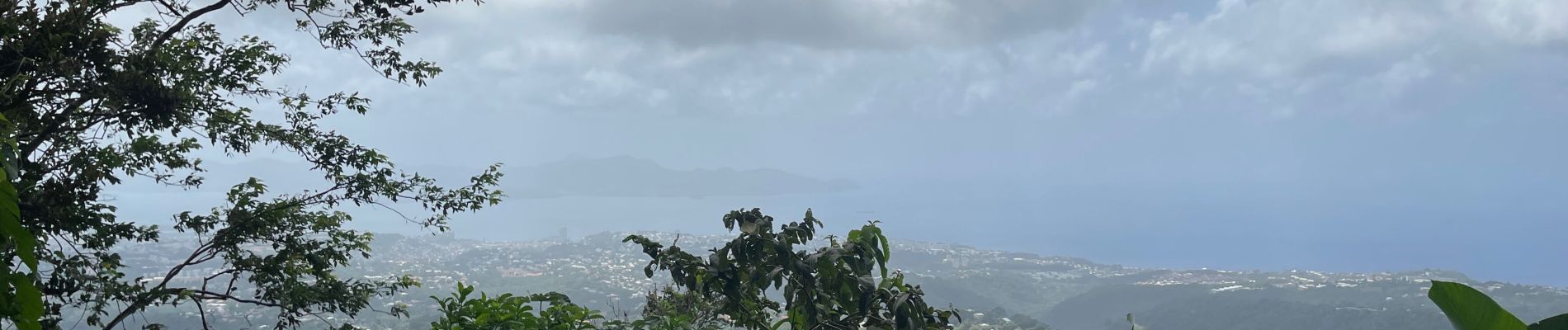 Tocht Noords wandelen Fort-de-France - Morne Césaire  - Photo