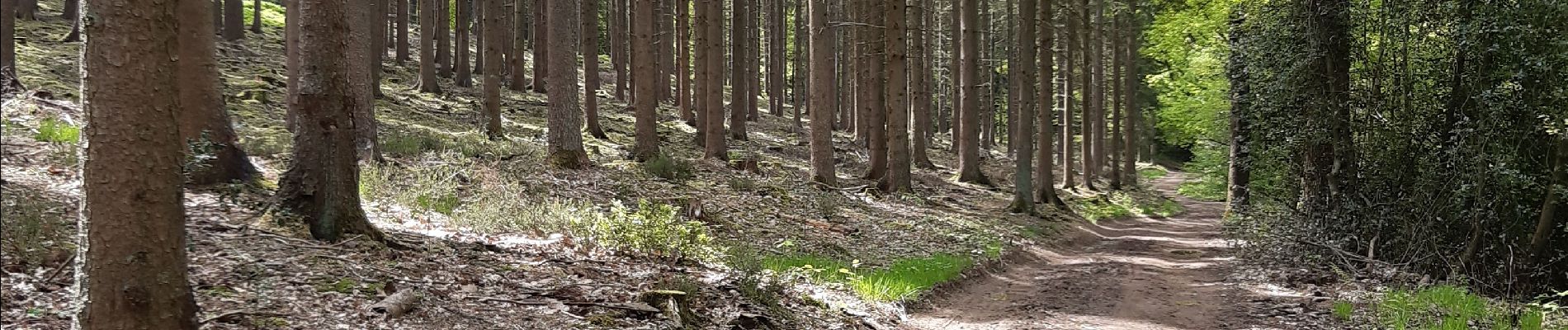 Tocht Stappen Limburg - dolhain hèvremont 65 - Photo