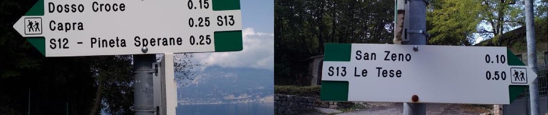 Randonnée A pied San Zeno di Montagna - Cà Schena - Castello - Cà Montagna - Cà Schena - Photo