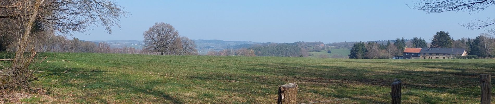 Tocht Stappen Jalhay - Tiège theux Tiège  - Photo