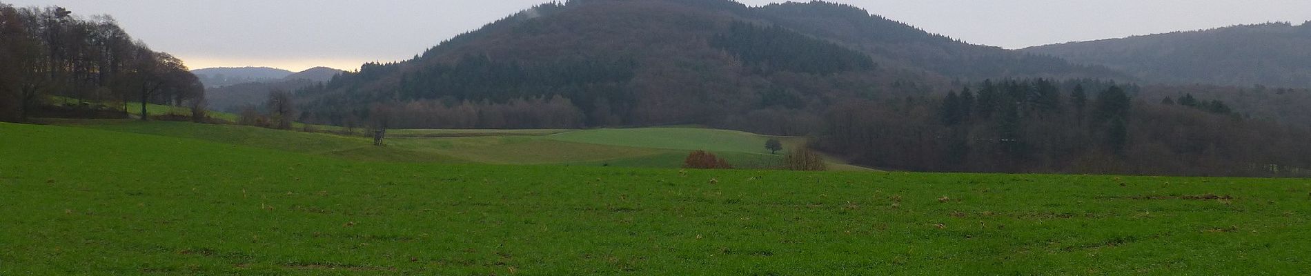 Randonnée A pied Weinheim - Rundwanderweg Judenberg 3: Bärengrund-Weg - Photo