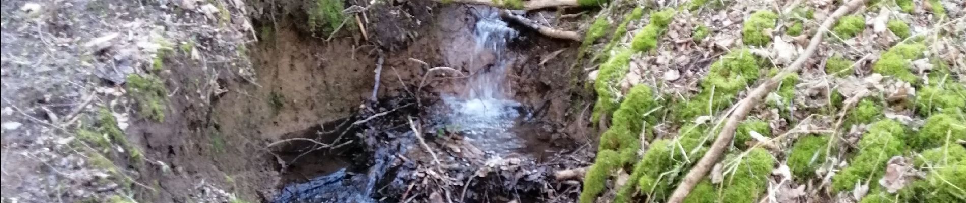 Randonnée Marche Trooz - La Brouck - Trooz - Photo