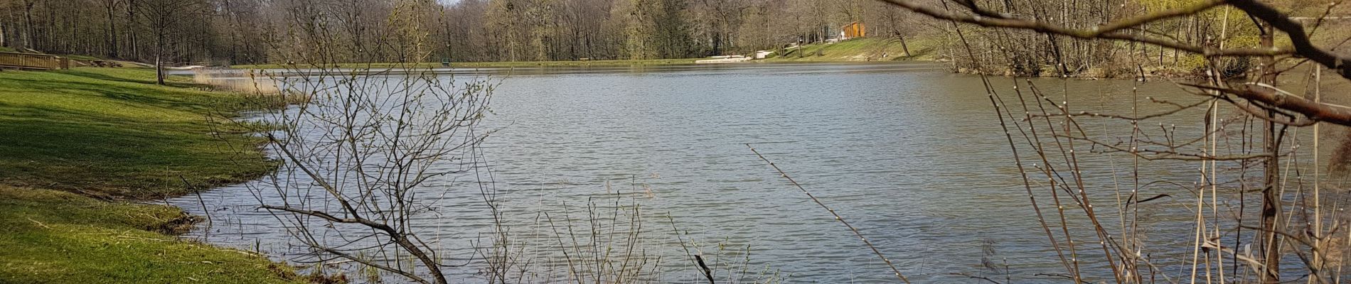 Tocht Stappen Bulgnéville - Bulgneville : Sur les traces du passé - Photo