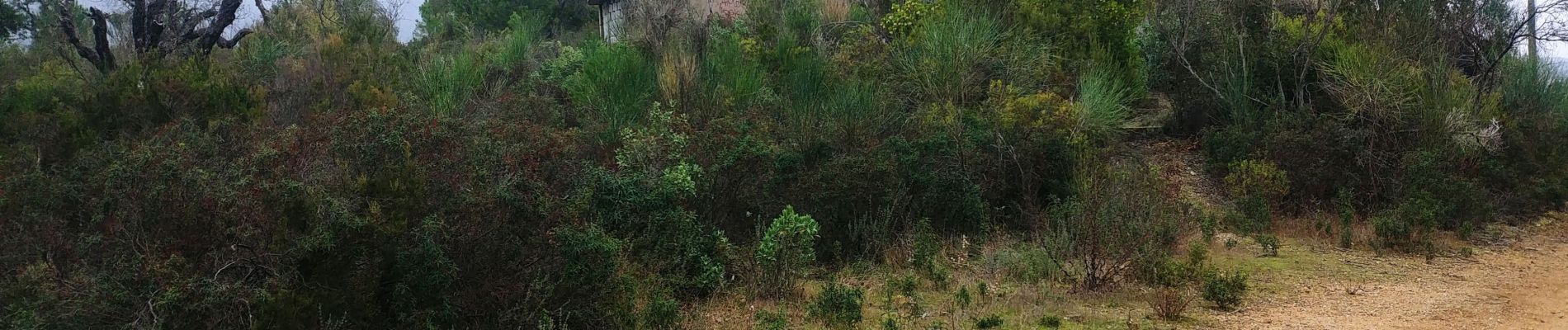 Tocht Stappen Roquebrune-sur-Argens - ROQUEBRUNE-Le pas de l' Eouvé- MBO - Photo