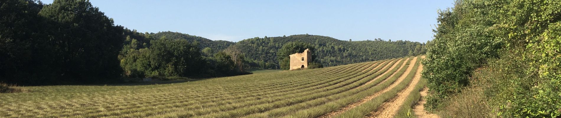 Trail Walking Gréoux-les-Bains - 2019 09 16 château Laval et marchand - Photo