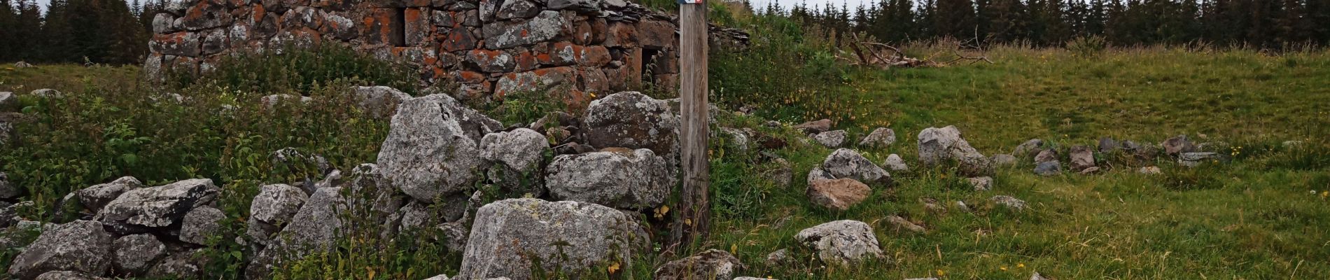 Tocht Stappen Laveissière - Burons - Photo