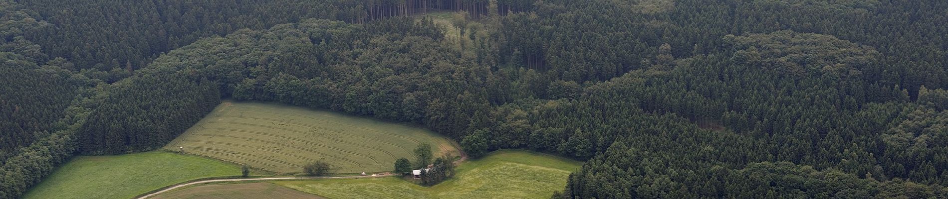 Tocht Te voet Möhnesee - Günne Rundweg A13 - Photo