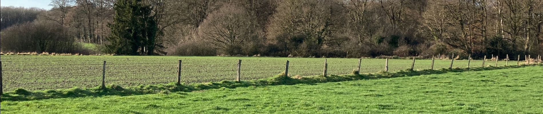 Tour Wandern Chaumont-Gistoux - Bouclette du Relais - Photo