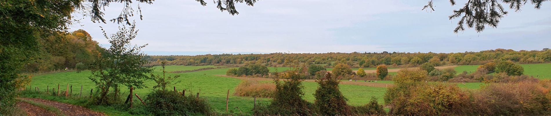 Tour Wandern Beauraing - Balade de Pondrôme à Revogne - Photo