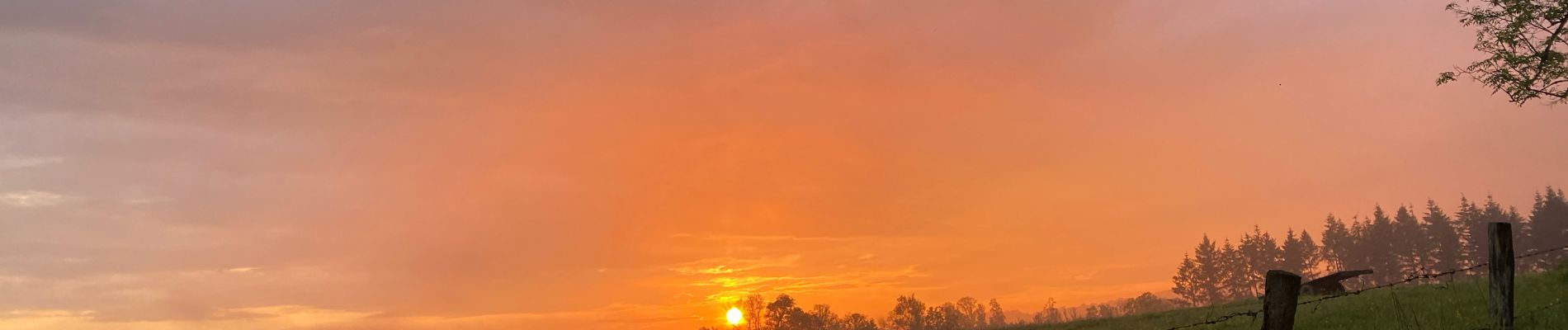 Tocht Stappen Rochefort - Pelerinage - Photo