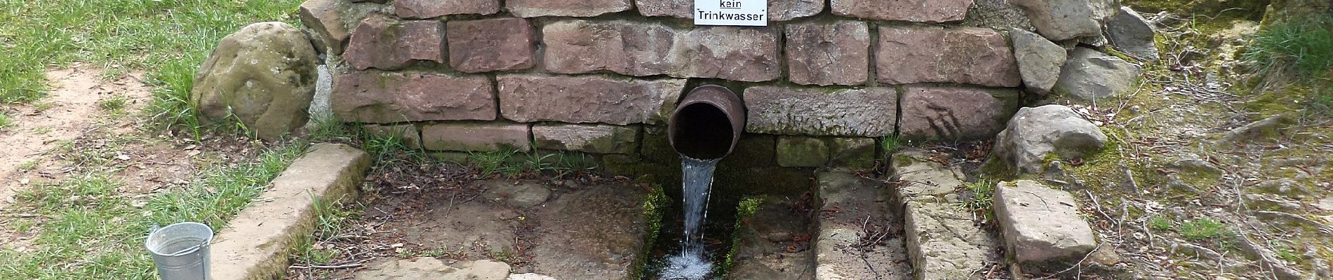 Percorso A piedi Schlüchtern - Gebietswanderweg Hohenzell - Sterbfritz - Photo