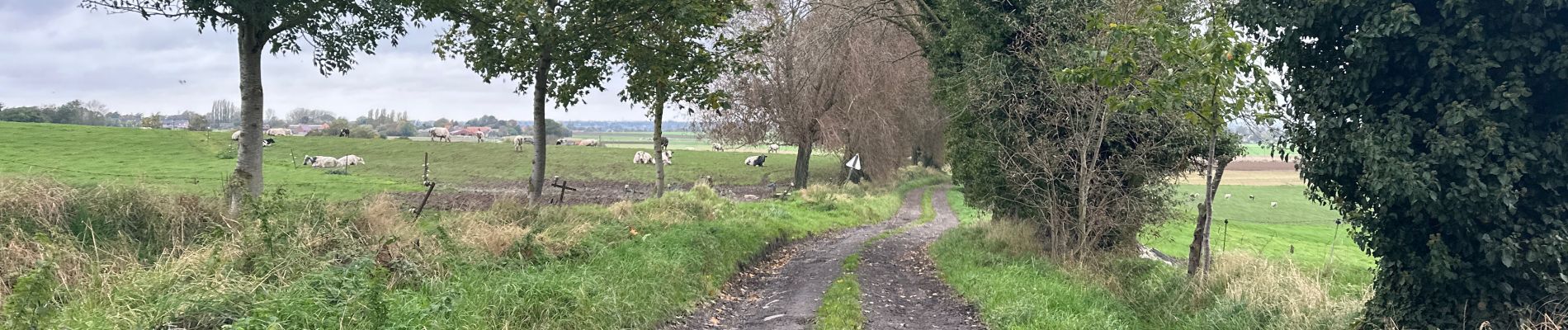 Tocht Stappen Doornik - Lamain 15 km - Photo