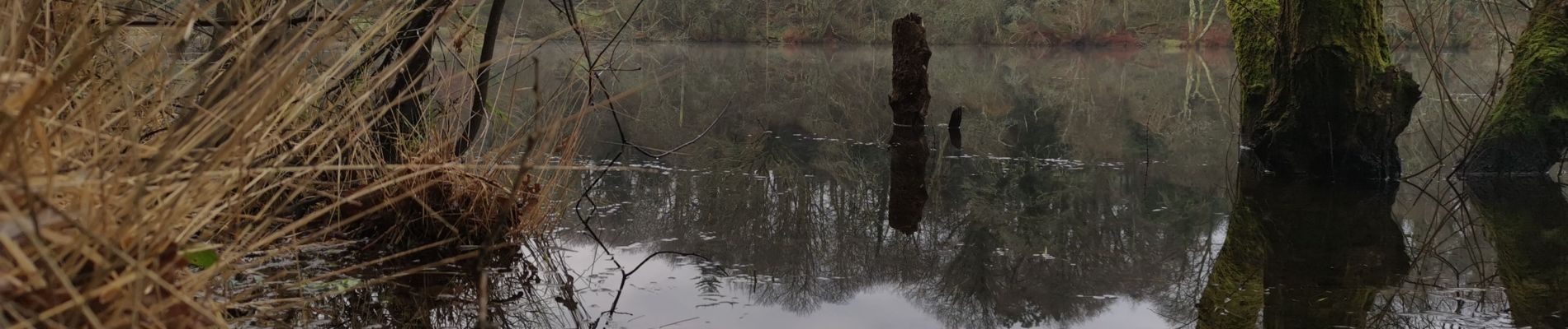 Tocht Stappen Plomelin - plomelin - Photo