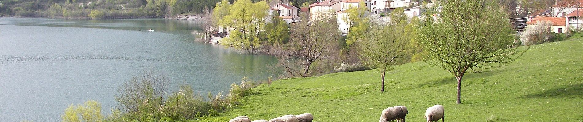 Tocht Te voet Barrea - Civitella Alfedena - Barrea - Photo