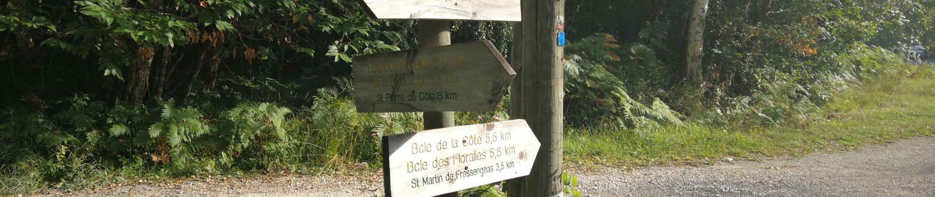 Tour Wandern Saint-Jean-de-Côle - Saint-Jean de colle la côte 12 km - Photo