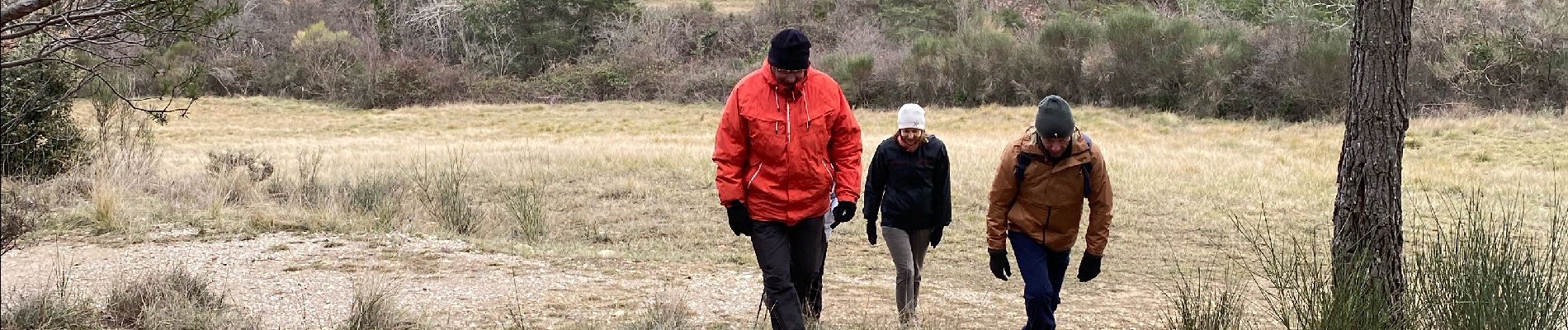 Tocht Stappen Aubres - Aubres col de Chicogne  - Photo