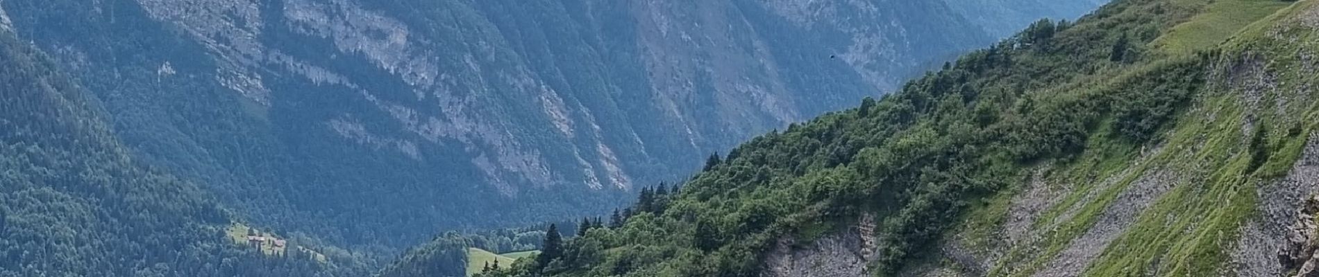 Randonnée Marche Verchaix - Col de Joux plane haute Savoie 9 juillet 2022  - Photo