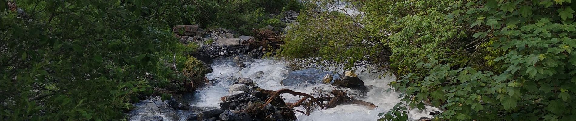 Excursión Senderismo Ayent - les évouettes  - Photo