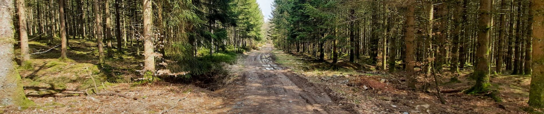 Tocht Stappen Sainte-Ode - Etape 2 - Photo