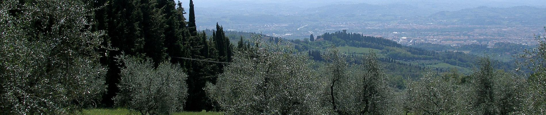 Trail On foot Florence - IT-2 - Photo