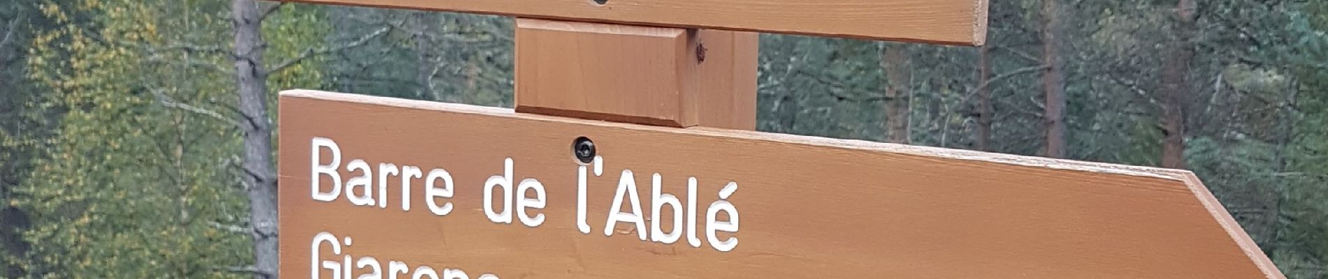 Tocht Stappen Beuil - De là Pinea au quartier le Pommier - Photo