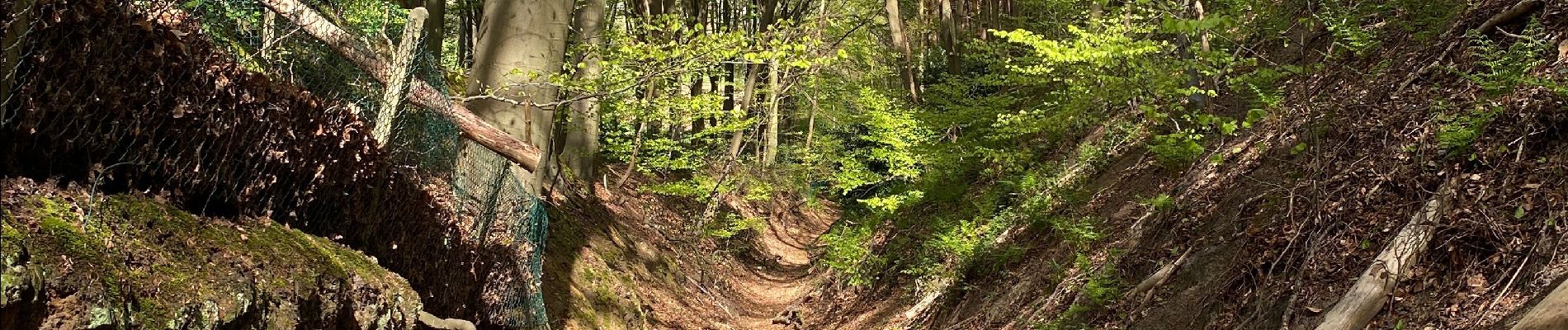 Excursión Senderismo Wavre - Balade de l’eau - Photo