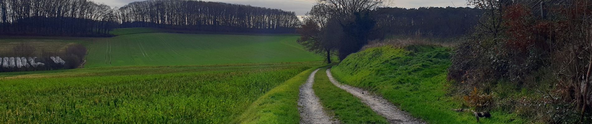 Randonnée Marche Huldenberg - Rodebos - Photo