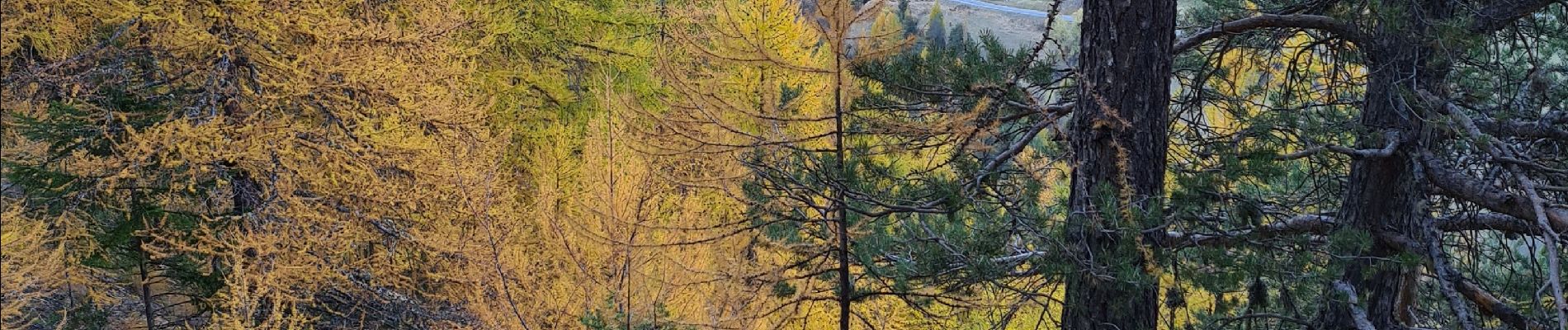 Tocht Stappen Arvieux - arvieux en boucle par furfande ( col et chalets) - Photo