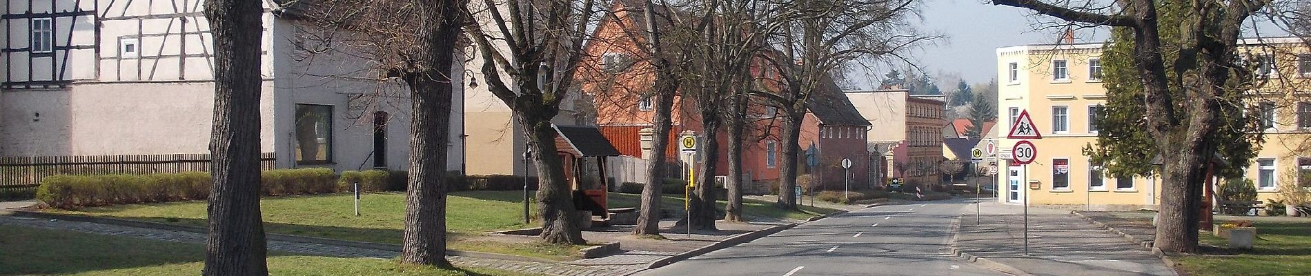 Tour Zu Fuß Droyßig - Rundweg Droyßiger Forst - Photo