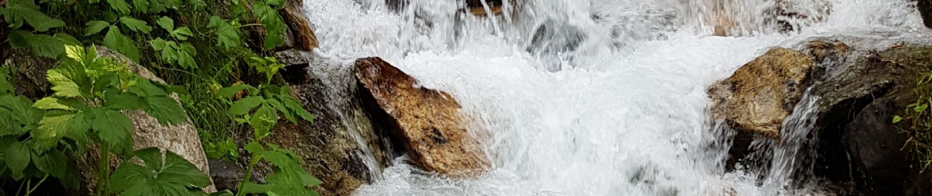 Tour Wandern Villarodin-Bourget - 0rgère - Photo