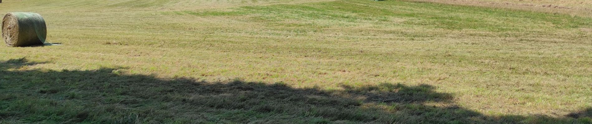 Tocht Stappen Sentheim - Sentheim La Seigneurie - Photo