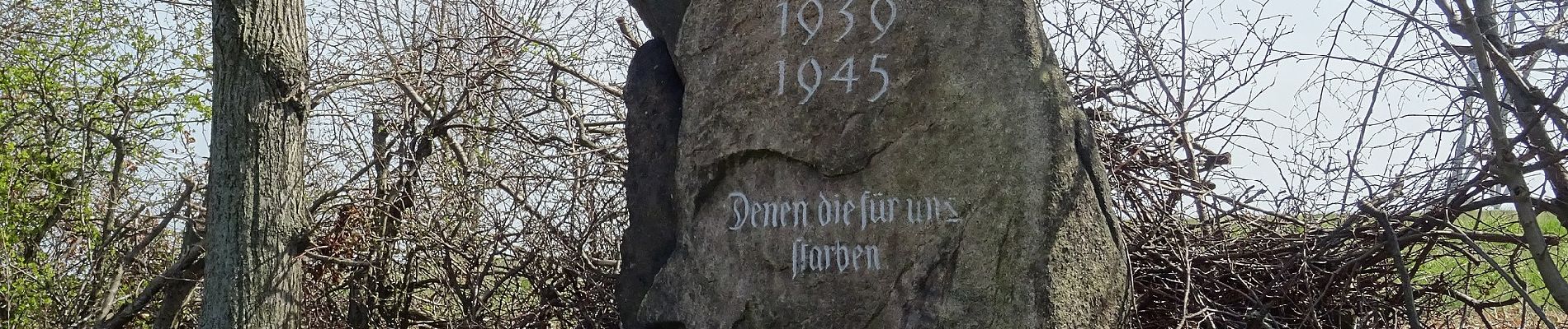 Tour Zu Fuß Moritzburg - Gelber Punkt - Photo