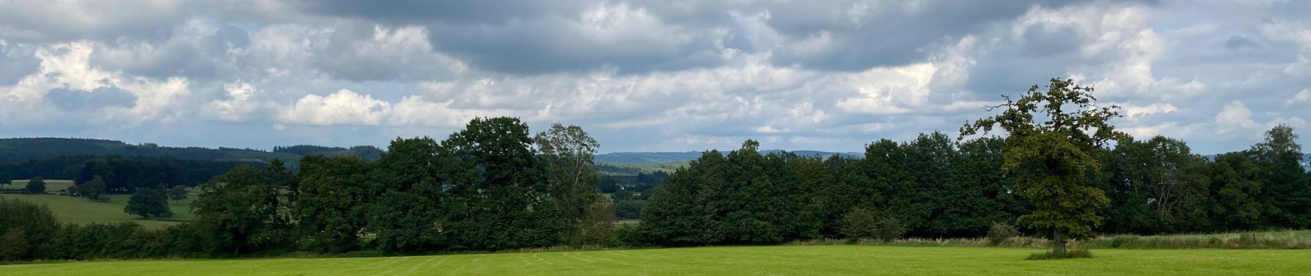 Trail Walking Lierneux - Arbrefontaine grand Sart - Photo