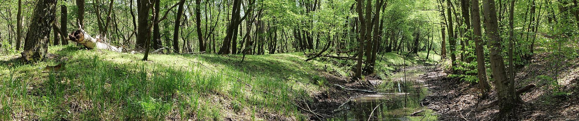 Tocht Te voet Blankenfelde-Mahlow - Naturlehrpfad - Photo