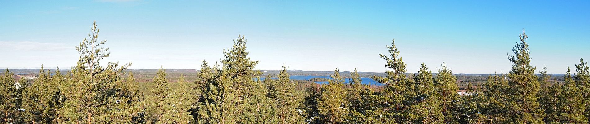 Tour Zu Fuß Äänekoski - Laulava Mörön Polku - Photo