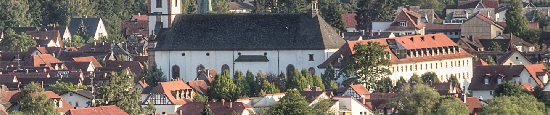 Tocht Te voet Bad Soden-Salmünster - Bad Soden-Salmünster Wanderweg Nr. 22 - Photo