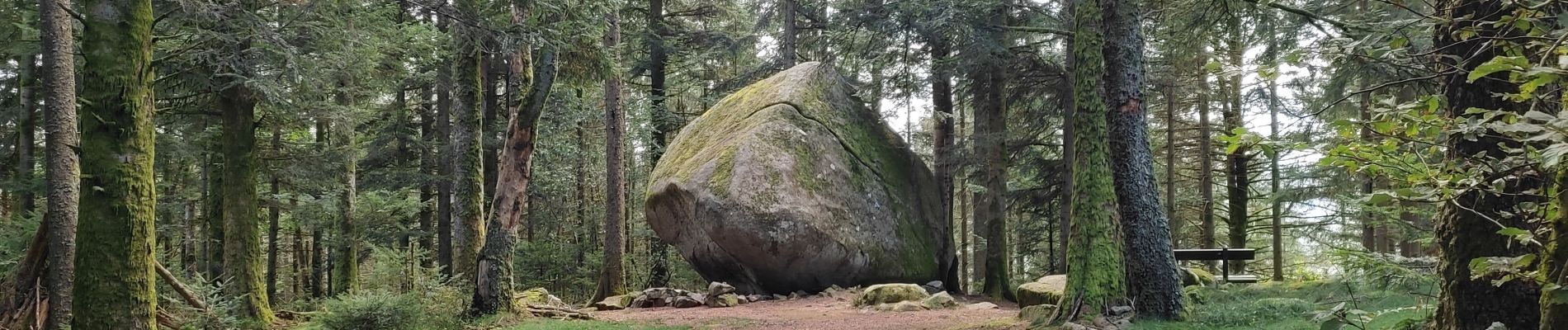 Trail Walking Le Tholy - Le trou de l'enfer - Photo