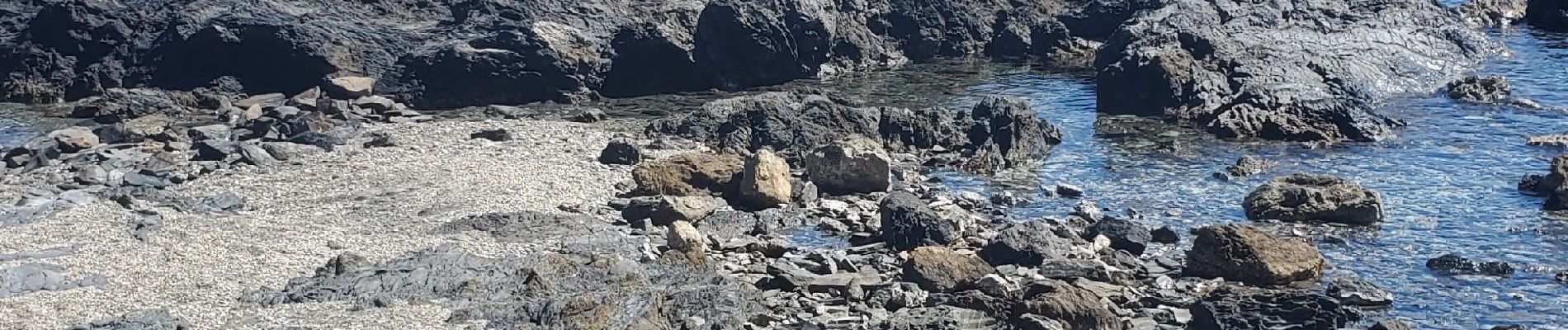 Excursión Senderismo La Seyne-sur-Mer - Notre Dame du Mai - Photo