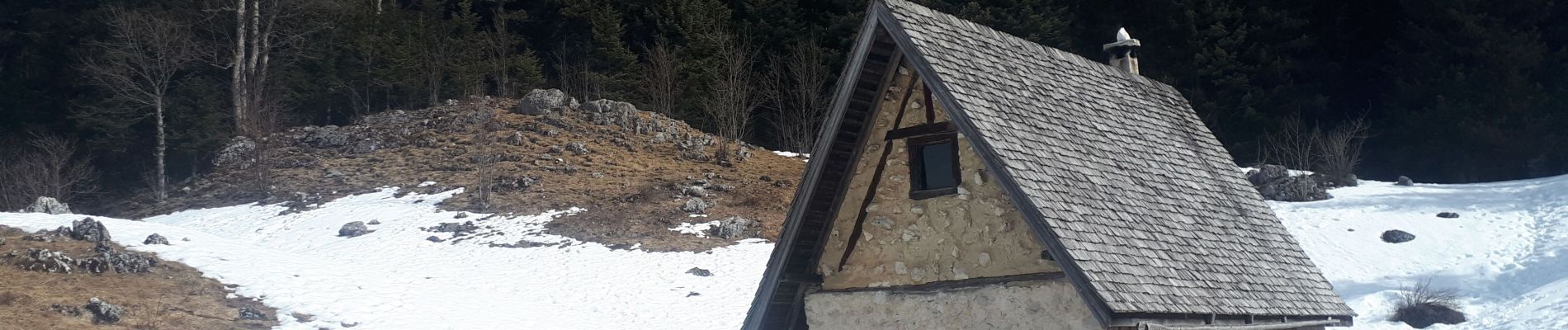 Tour Schneeschuhwandern Corrençon-en-Vercors - Cabane à Goupette en circuit - Photo