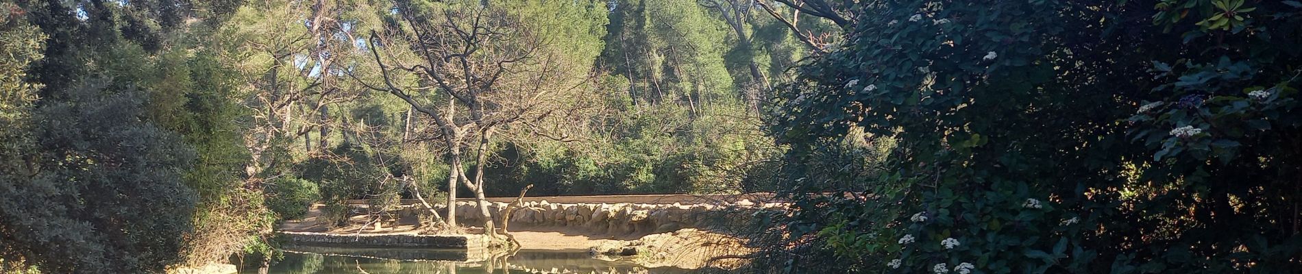 Excursión Senderismo Marsella - Pastre - Marseilleveyre 11.2.23  - Photo