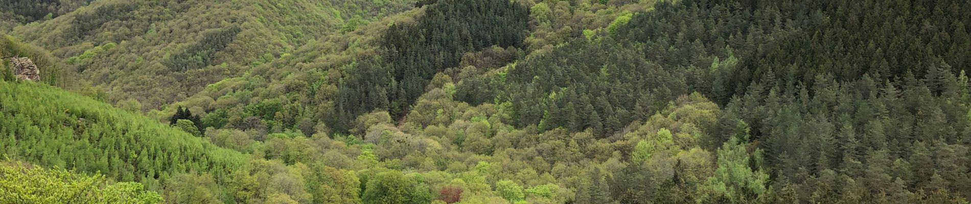 Tocht Stappen Aywaille - Ninglinspo  - Photo